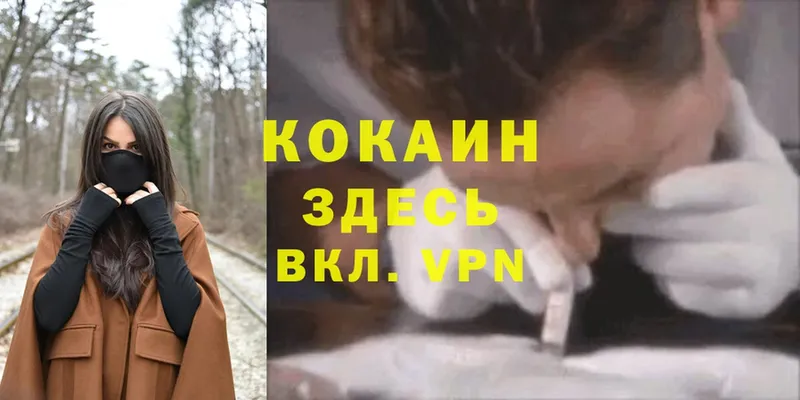 Cocaine Боливия  Луга 